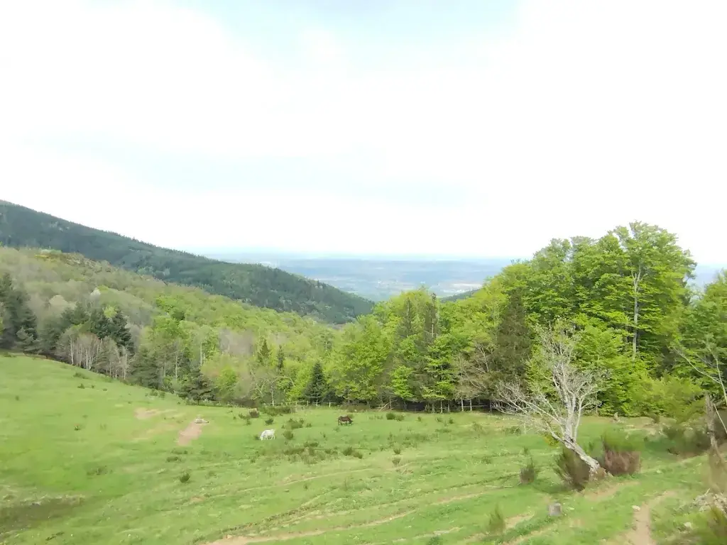 Carine Boulisset_Auberge Vert Anes_Véranne_review