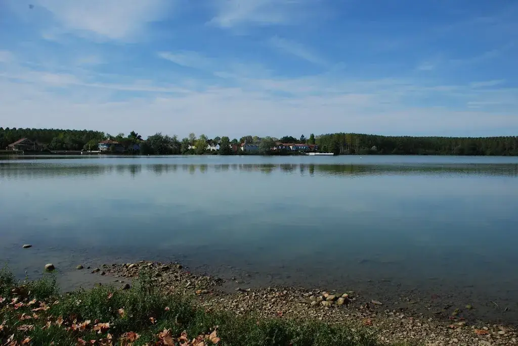 Ian Morton_Restaurant 