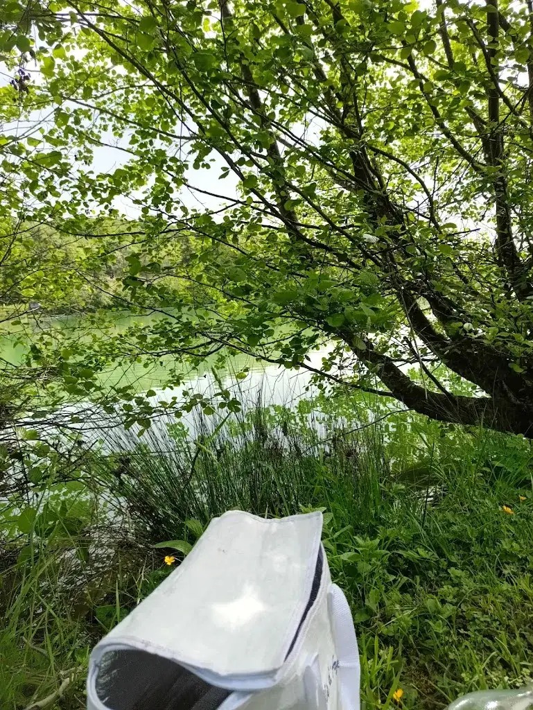 christine Rossello_Lac de Marciac_Marciac_review