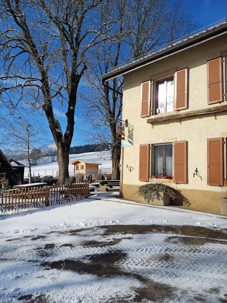 Claude Dubois_Restaurant des Poneys Maurice Perrin et Fils_Ponts-de-Martel_review