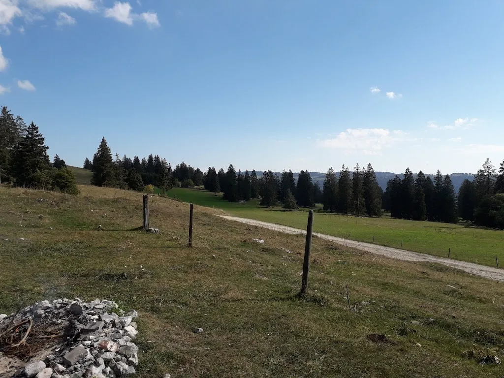 Francine Pedone_Restaurant Petit-Som-Martel_Petit-Martel_review