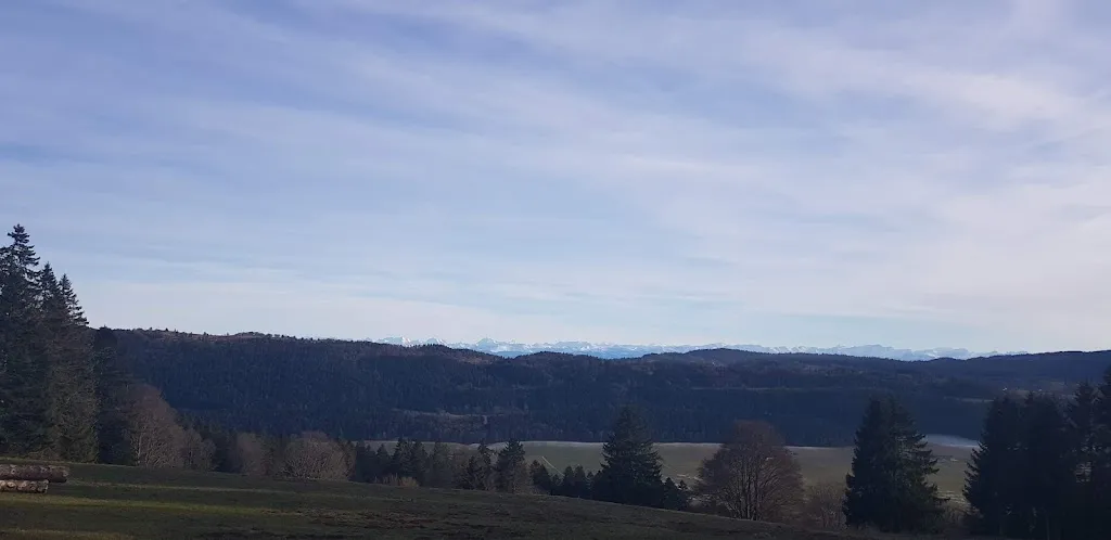 Markus Gerber_Restaurant Petit-Som-Martel_Petit-Martel_review