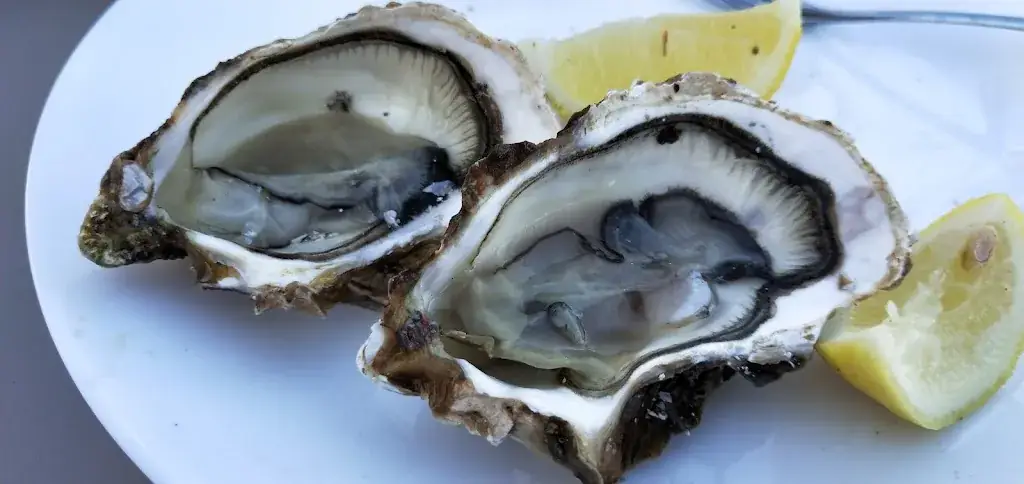 Carlo M_Les Pieds Dans l'Ô_Marseillan_review