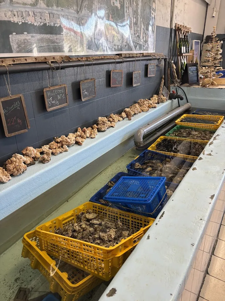 Felix Schürmann_Coqui Thau_Marseillan_review