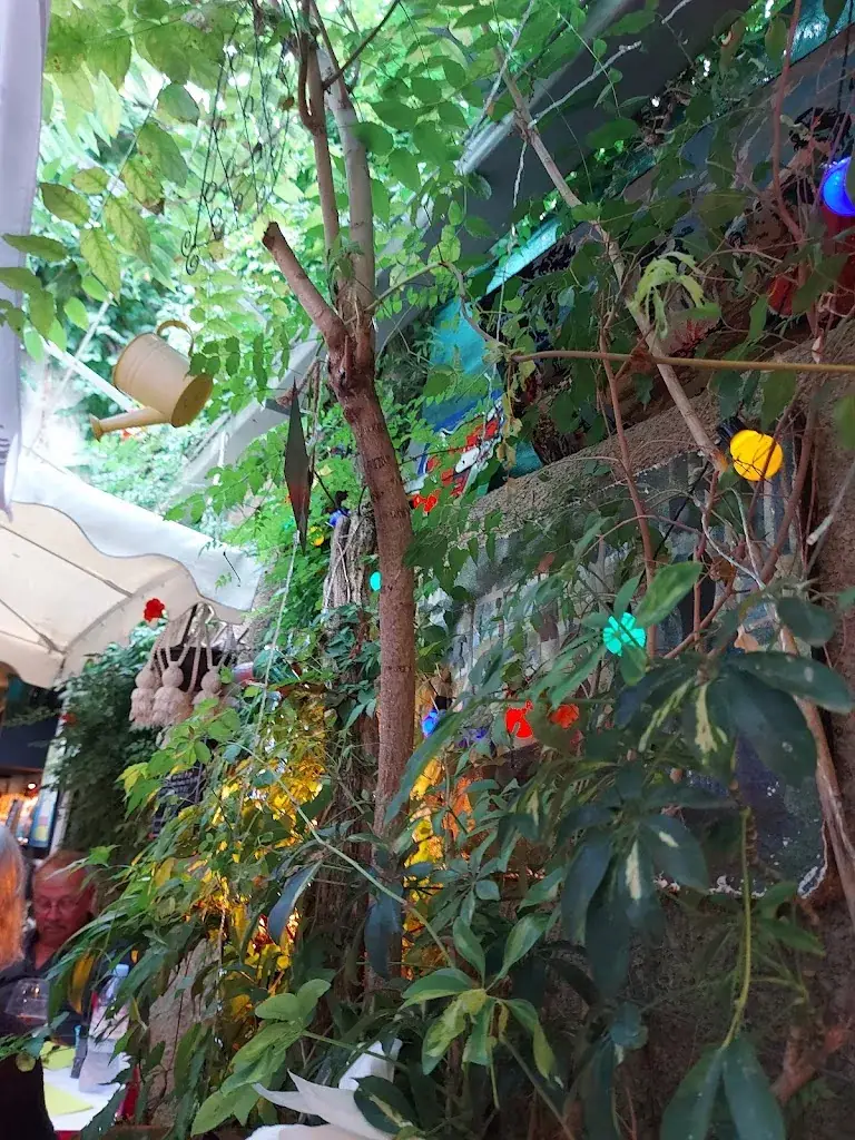 Sarah Gregory_Le Jardin du Naris_Marseillan_review