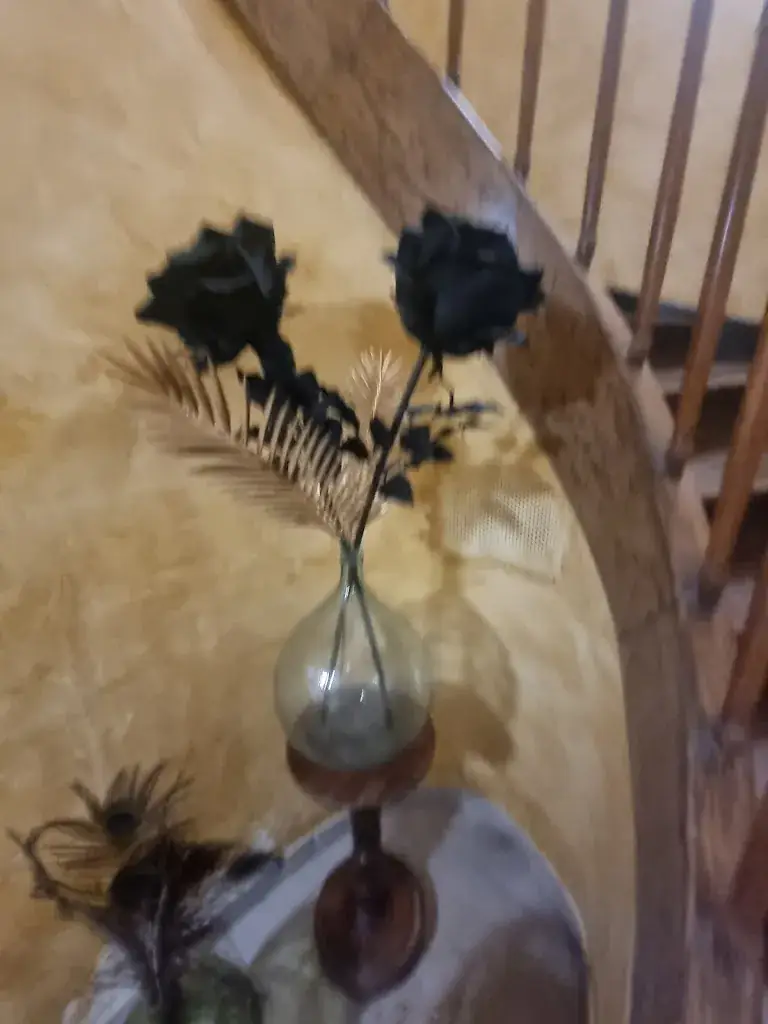 Laetitia Rizzuto_L'auberge de France_Seissan_review