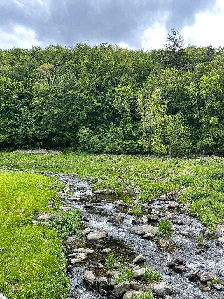 Gorli Gorlitzki_Aux 2 Rivières_Saint-Léger-de-Peyre_recensione