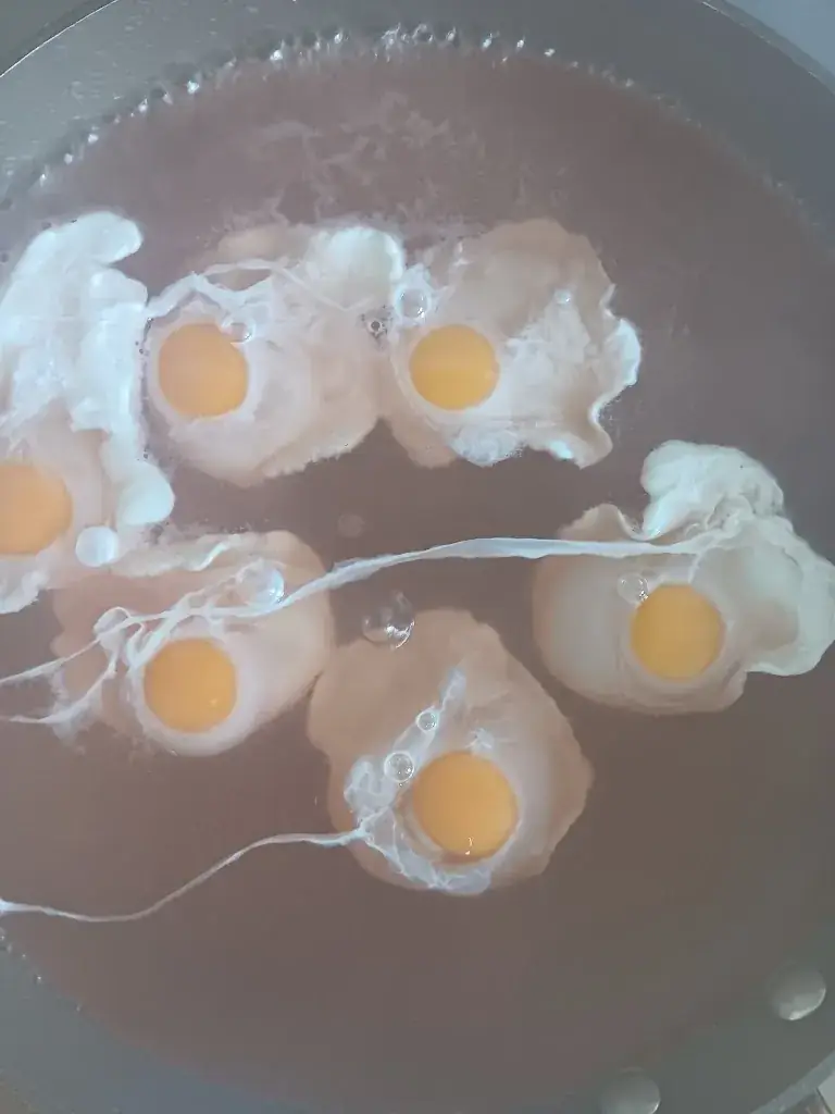 Menu_Le Mazèrien_Mazères_image_3