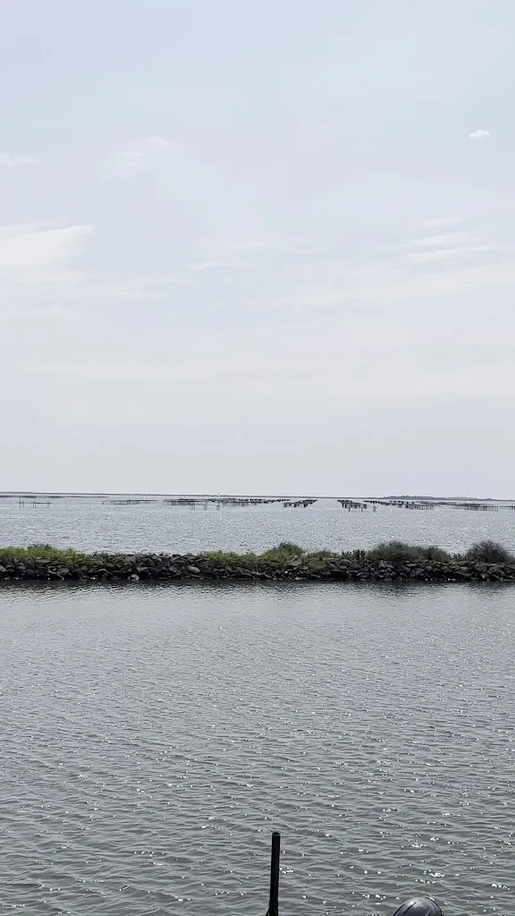 Meg_Le Mas Soula - Les Huîtres Soula_Mèze_review