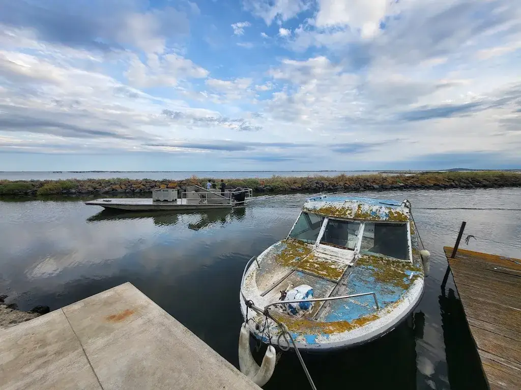 Vincent_Le Març’eau - Coquillages et Fruits de mer - Dégustation Mèze_Mèze_review