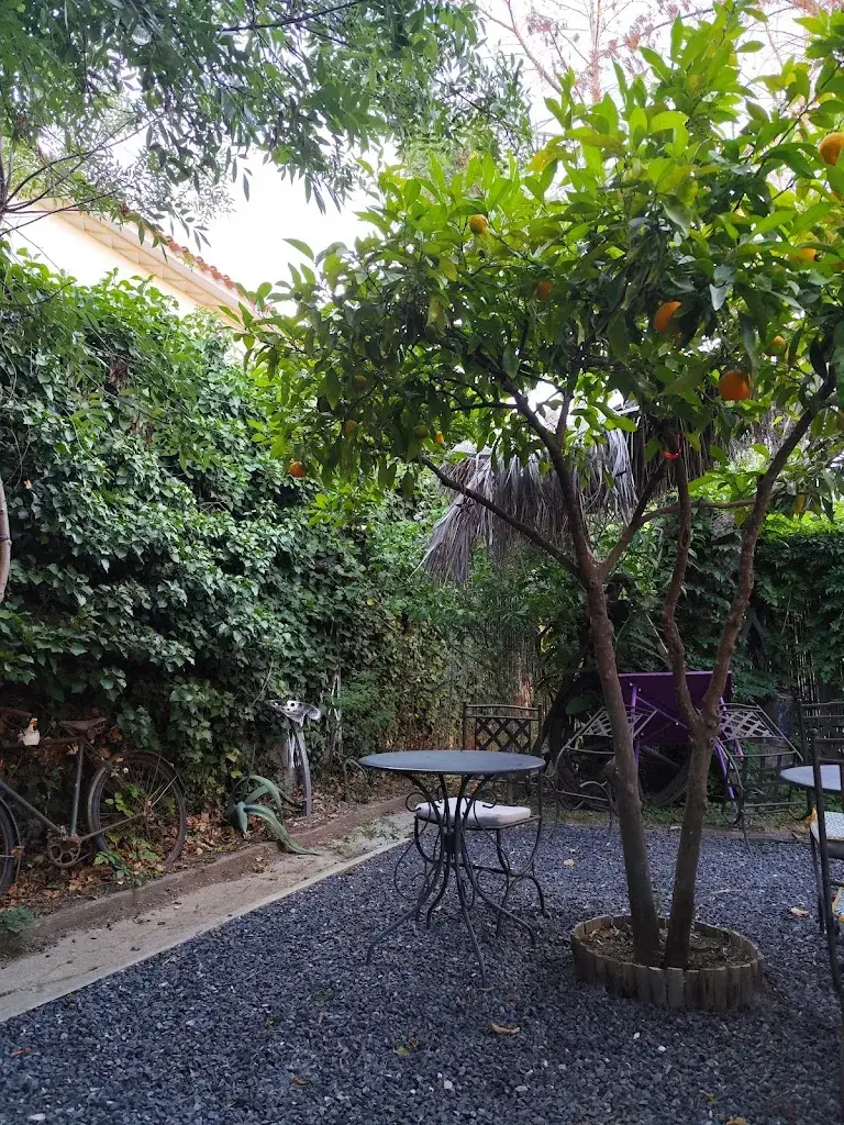 Marie Ravidoni_La Casa 2 Millas_Millas_review