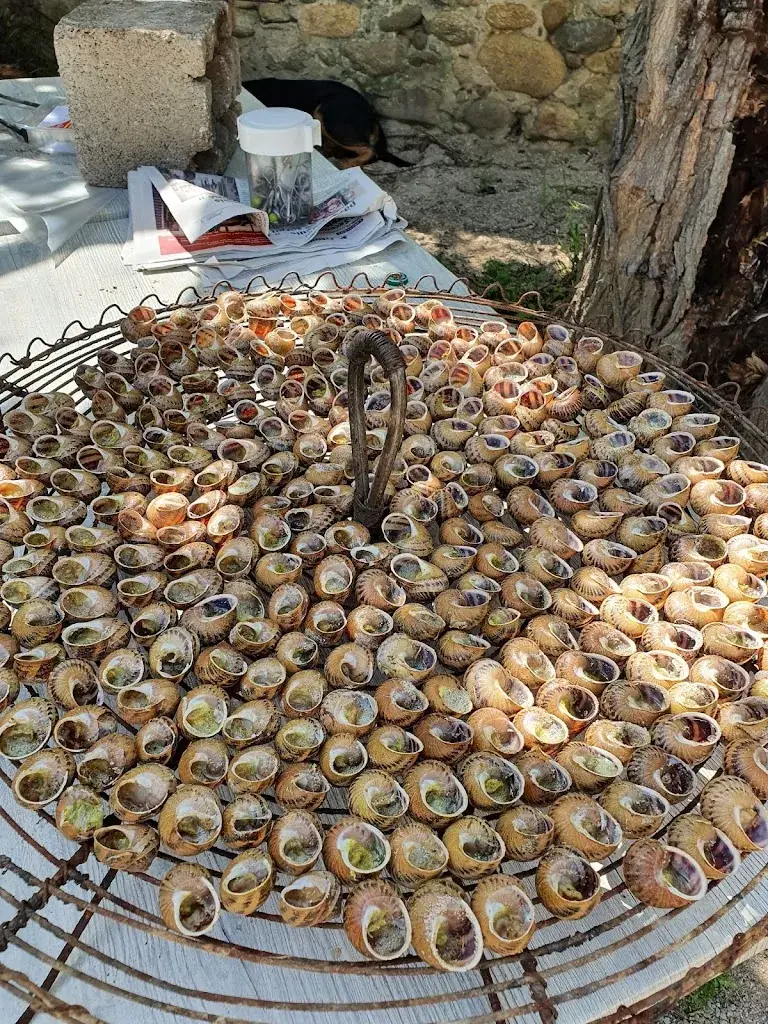 Menu_Bar Restaurant Le Calimero_Millas_image_7