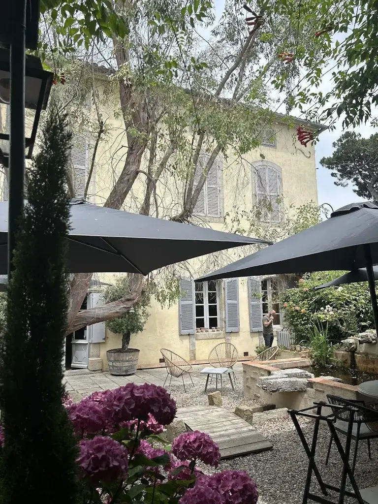 Will Lodge_Clos des Oliviers_Mirepoix_review