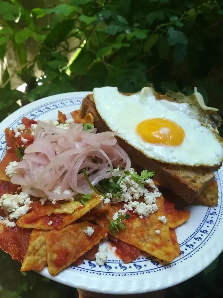 Menu_Green Bazar Café_Mirepoix_immagine_7