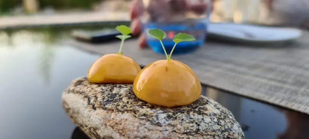 Menu_Côté Mas_Montagnac_image_8