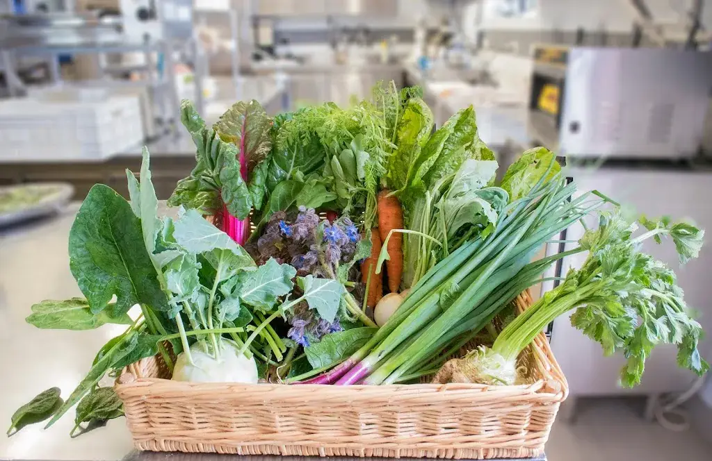 Côté Mas_Montagnac_slider_image_2