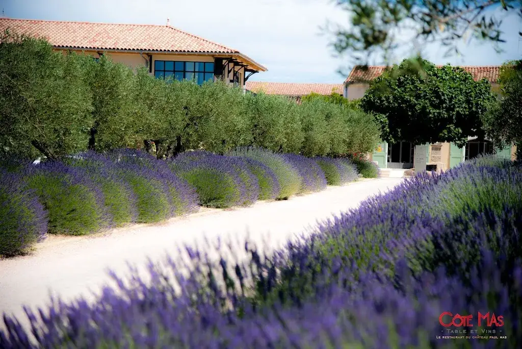 Côté Mas_Montagnac_slider_image_3