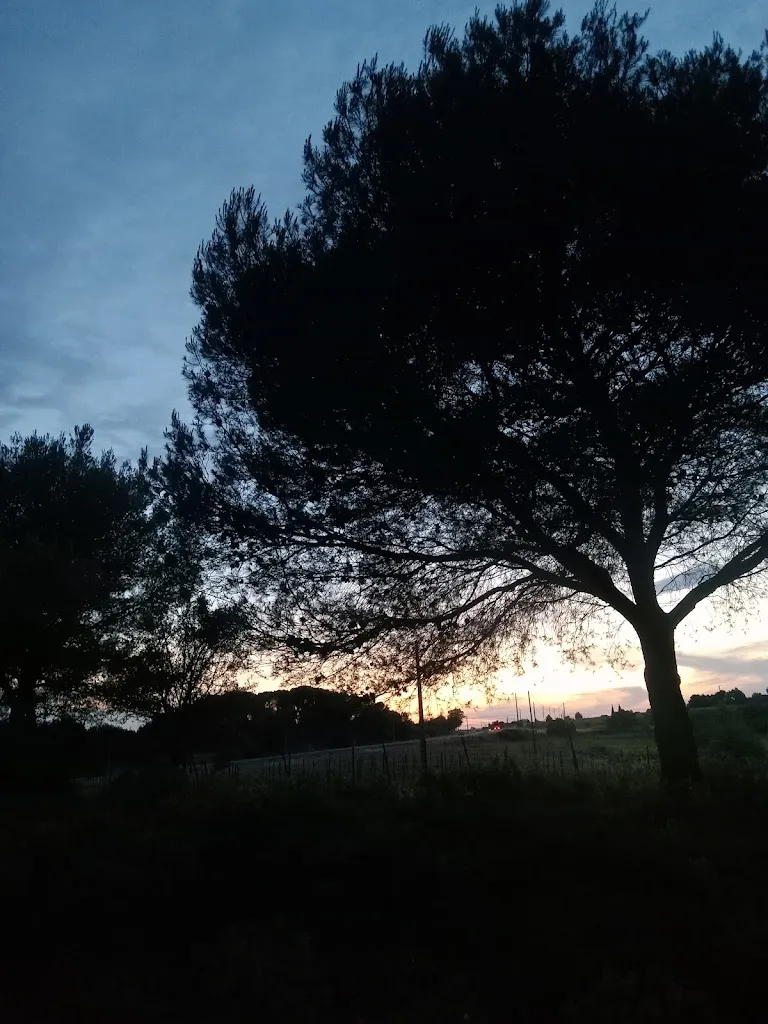 Sara_Hotel Les Rocailles_Montagnac_review