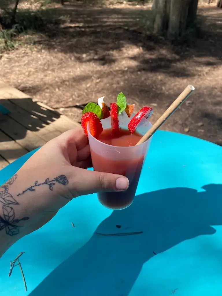 Menu_Le Food Truck de la Forêt_Montagnac_image_5