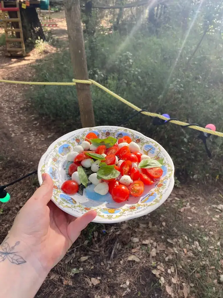 Menu_Le Food Truck de la Forêt_Montagnac_image_8