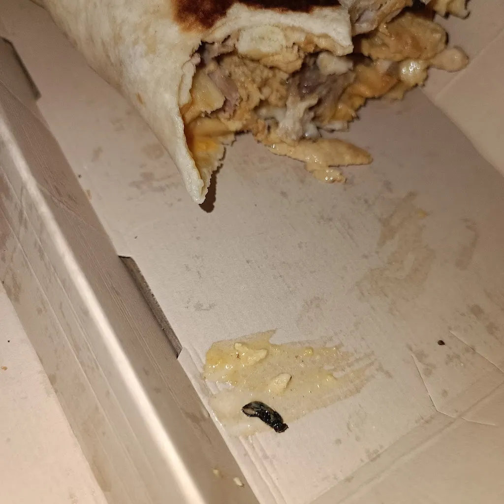 Alexandre Delbecque_Ô Délices food_Montech_review