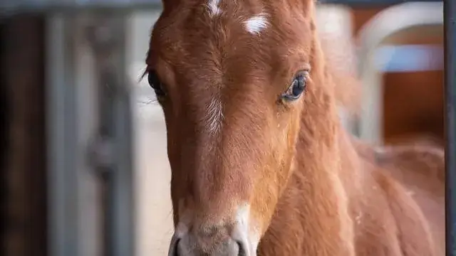 Auberge de la Gare_Montfaucon_slider_image_3