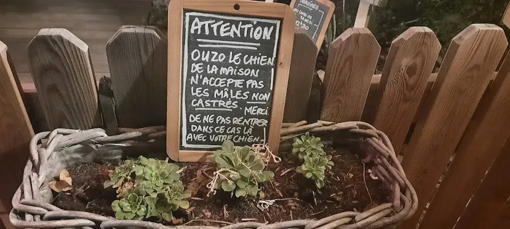 Menu_Campagnac du Causse_Montfaucon_image_4