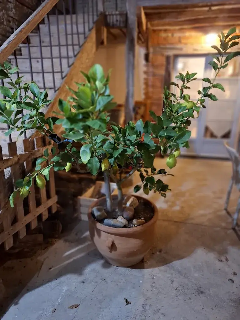 Coquelicot Fleurs des champs_La Métairie_Paulhac_review