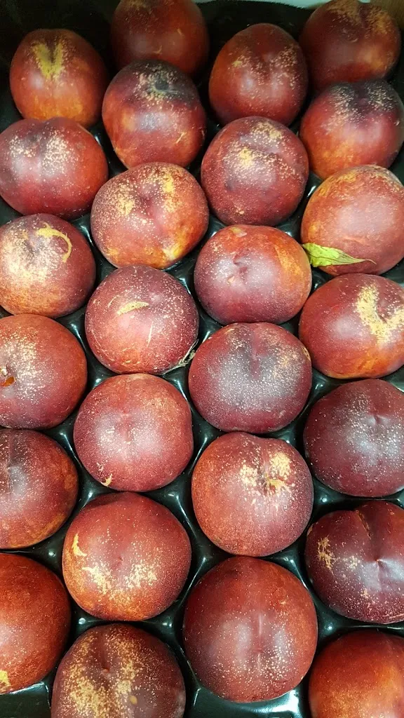 Menu_Le Vidalot | Bar-Tabac_Montjoire_image_3