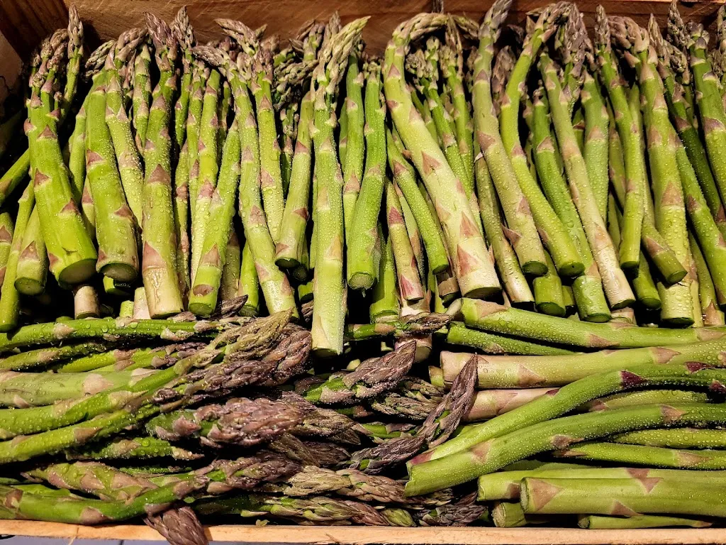 Le Vidalot | Bar-Tabac_Montjoire_slider_image_2