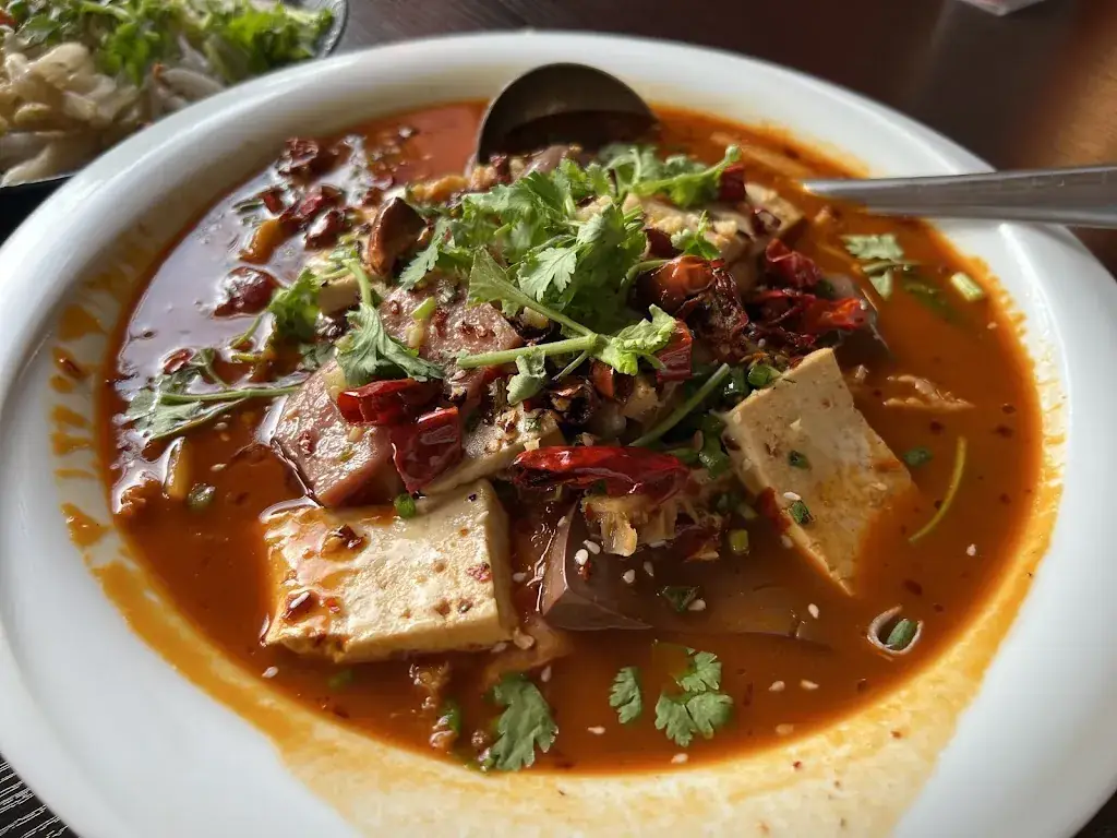 陈伊菲_Hong Yan_Lausanne_recensione