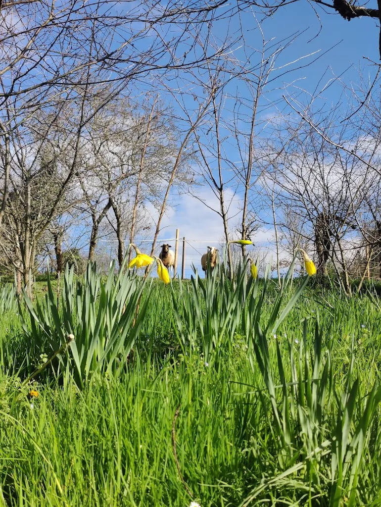 Microbrasserie La Planque_Montredon-Labessonnié_slider_image_3