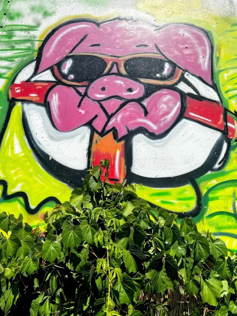 OLIVIER SEBBAN_Le cochon baigneur_Moussac_review