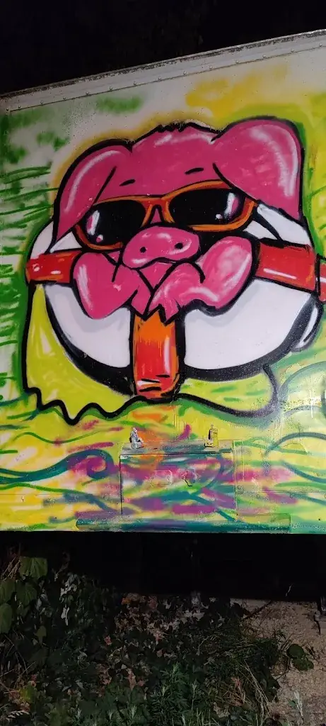 Olivier HANCHIR_Le cochon baigneur_Moussac_review