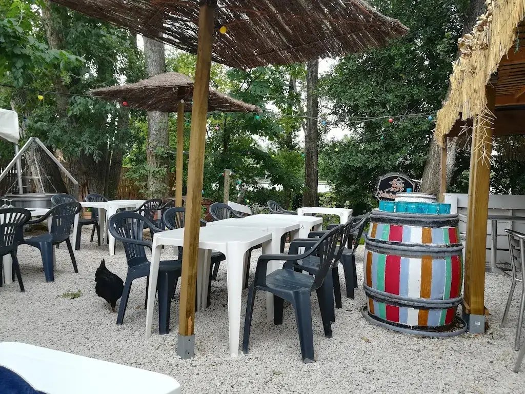 Hans Ulrich REGTMEIER_Le cochon baigneur_Moussac_review