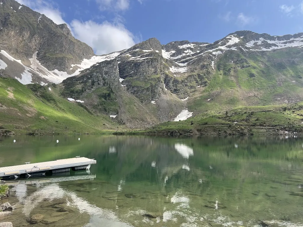 J. Binay_Lac Lioson_Mosses_review