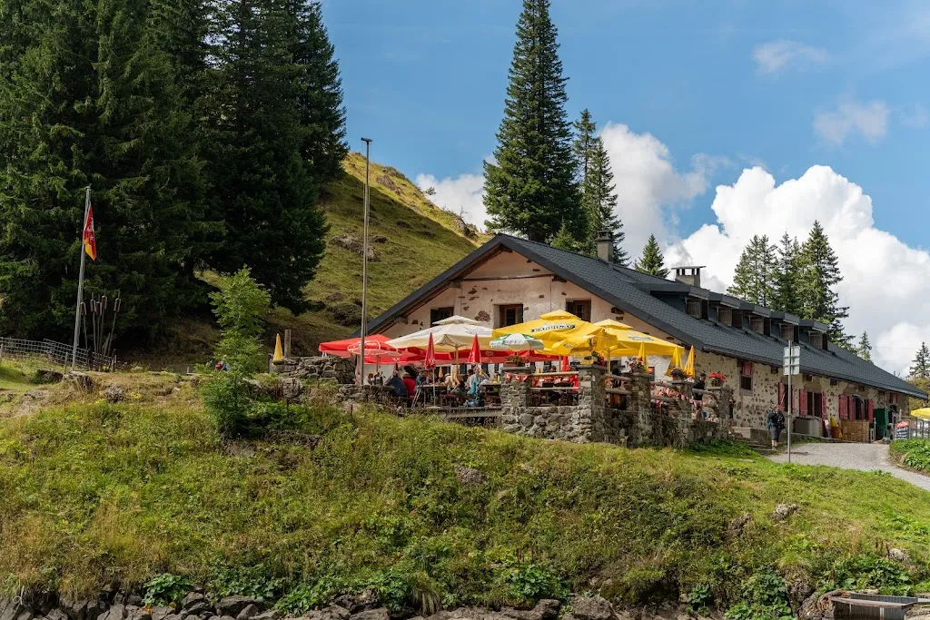 Wim Saelen_Lac Lioson_Mosses_review