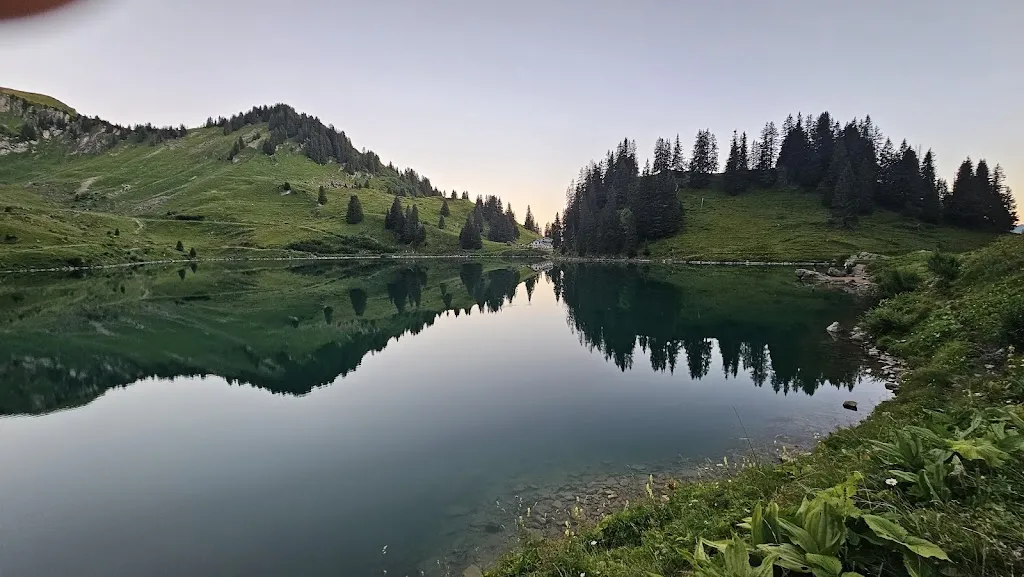 Lac Lioson_Mosses_slider_image_3