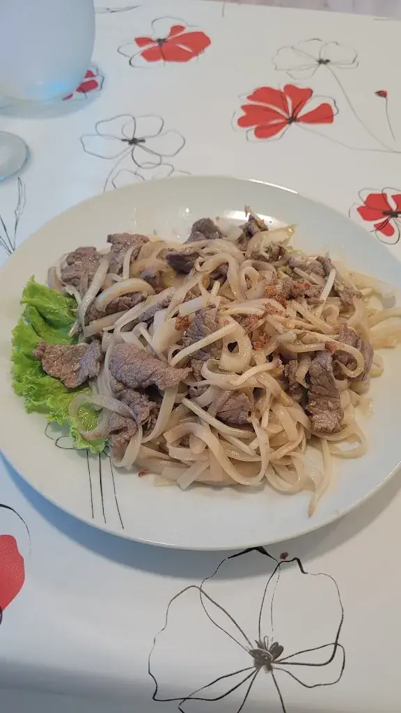 Romuald Flandrinck_Restaurant NEW VIETNAM_Nègrepelisse_review