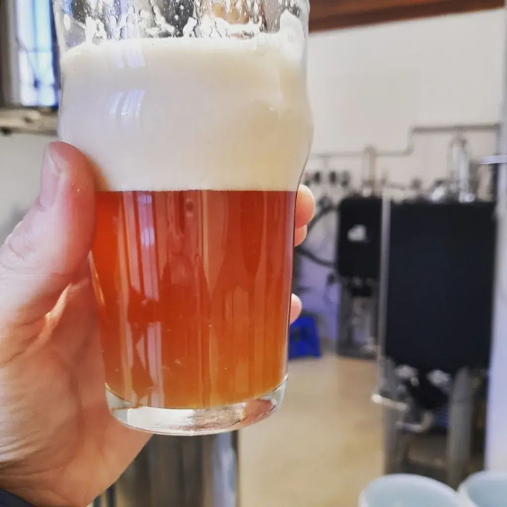 Menu_Brasserie Pyrénéiste_Palau-de-Cerdagne_image_6