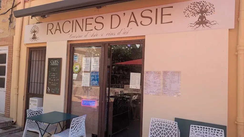 boris auche_Racines d'Asie_Palau-del-Vidre_review