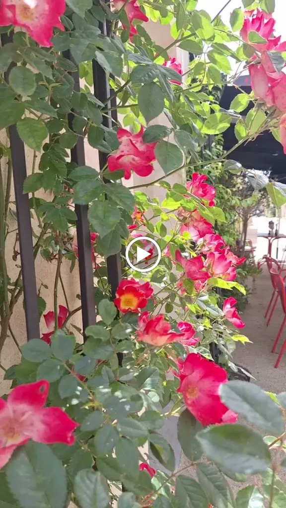 Le Pérols - restaurant_Pérols_slider_image_2