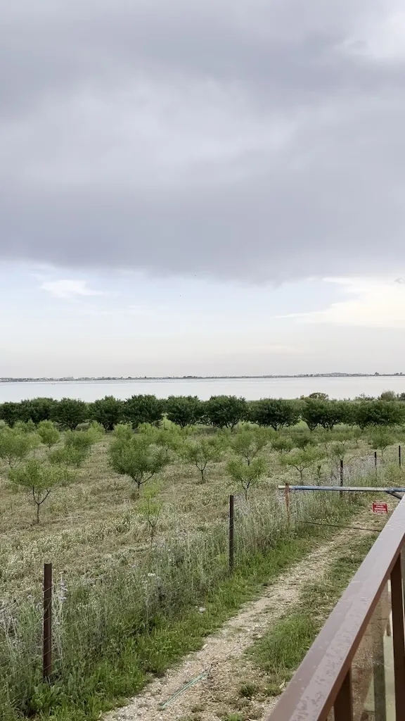 Kirill Maksimkin_Pampa Sauvage_Lattes_review