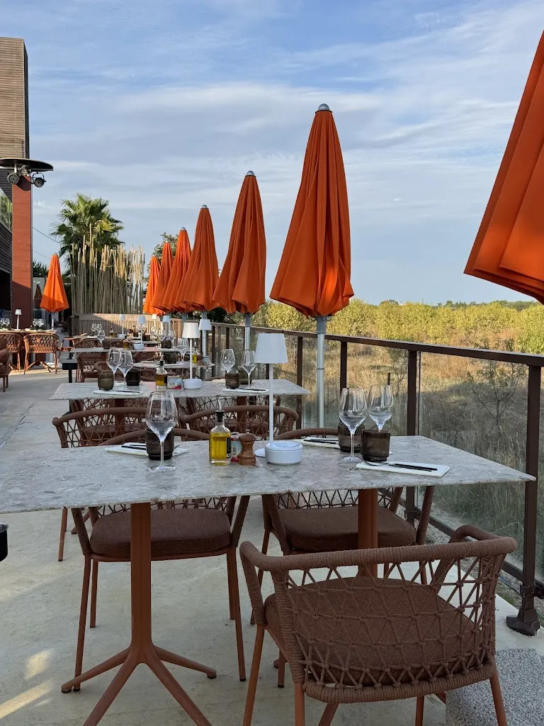 Pampa Sauvage_Lattes_slider_image_3