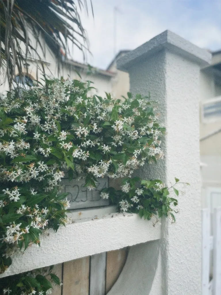 WMeng_Ô Cabanon_Mauguio_review