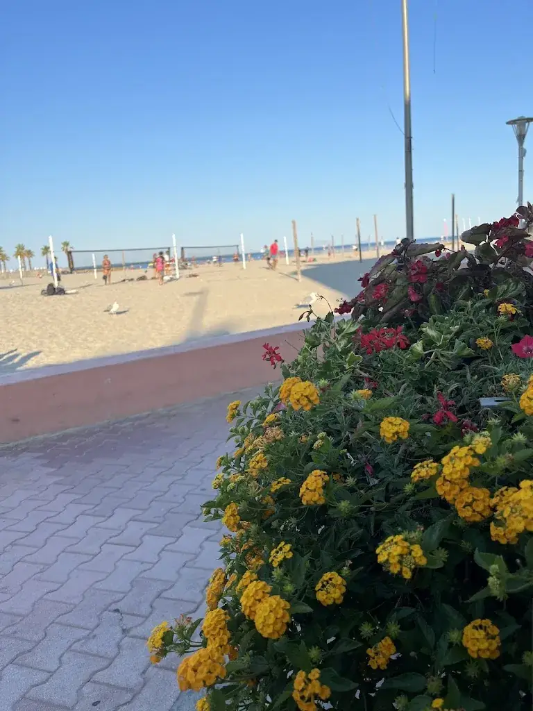 Karin Nyrup_Restaurant Le Barisano_Palavas-les-Flots_review