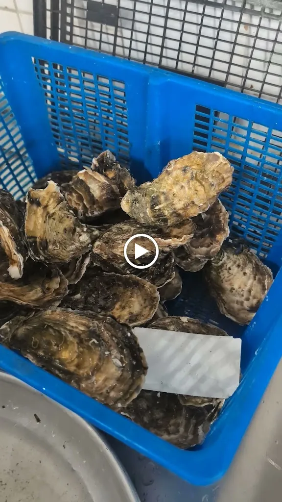 LA MARINE DU PÊCHEUR - Restaurant Palavas - Poisson frais et fruits de mer_Palavas-les-Flots_slider_image_2