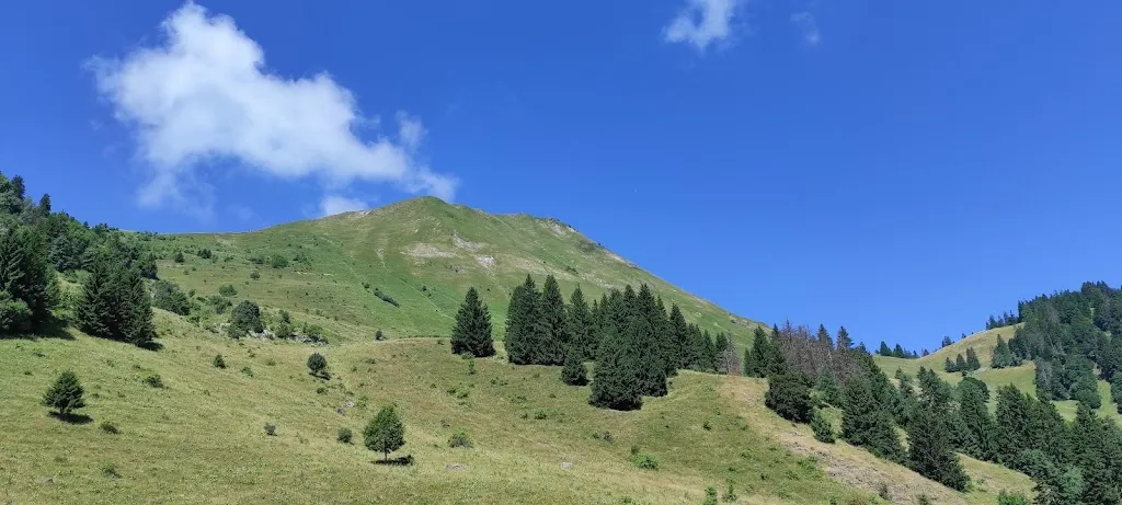 Daniel MEDAERTS_L’écho du berger_Marignier_review