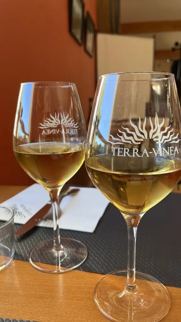 Menu_Restaurant Le Grenache - Terra Vinea_Portel-des-Corbières_image_5