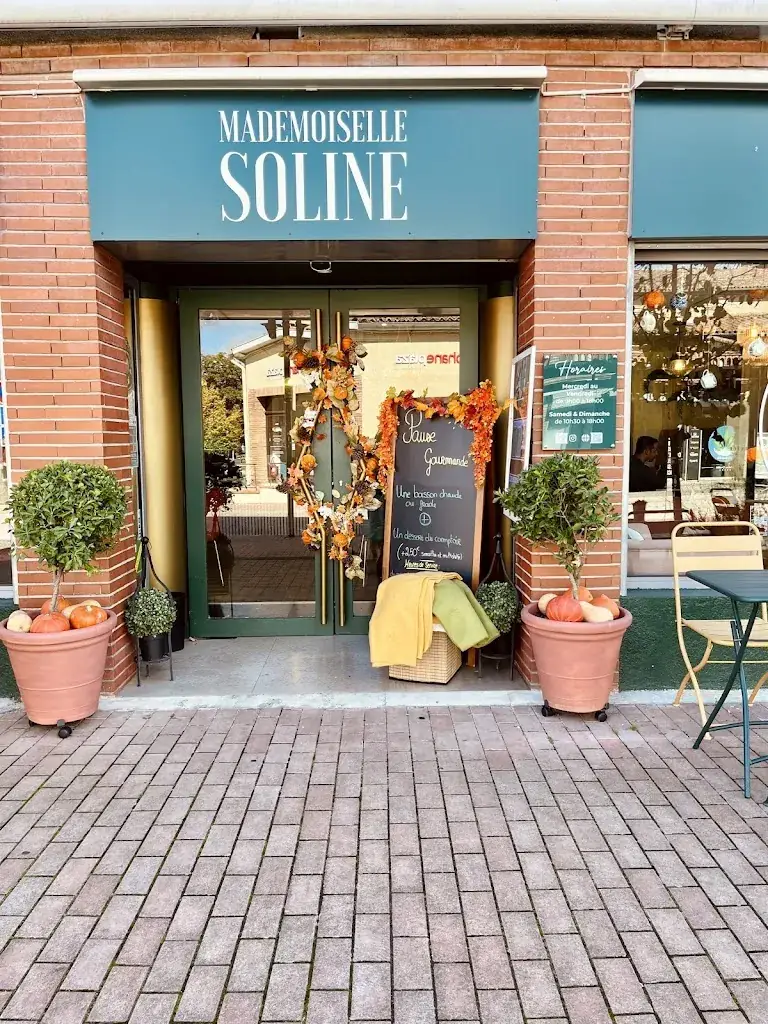 Mademoiselle Soline restaurant in Plaisance-du-Touch